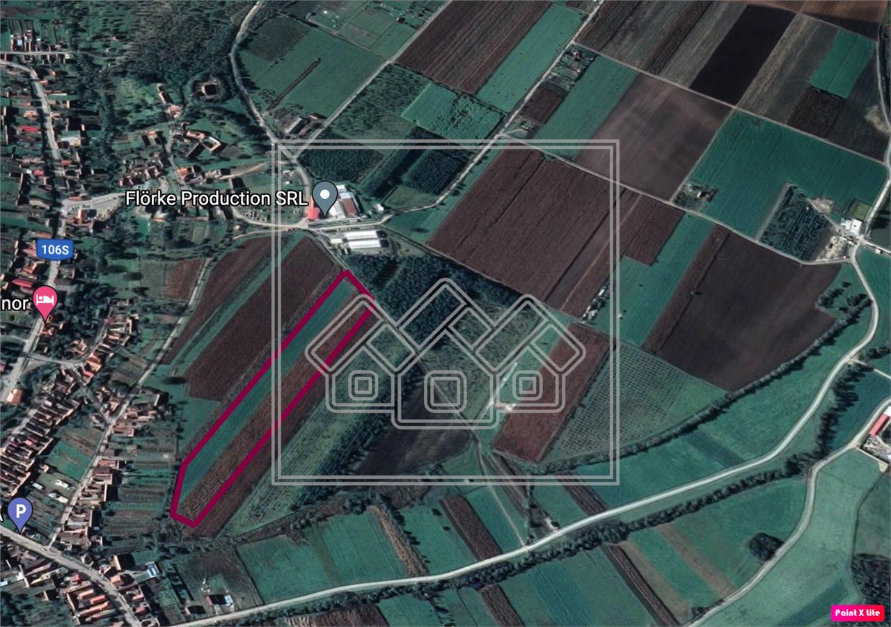Land for sale in Sibiu  - Daia village - 38,000 sqm - out of town