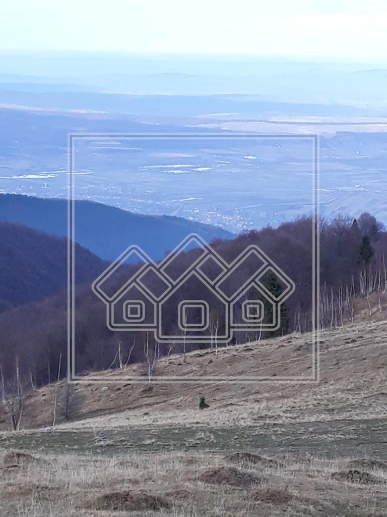 Teren de vanzare in Sibiu - zona Paltinis - ideal investitie