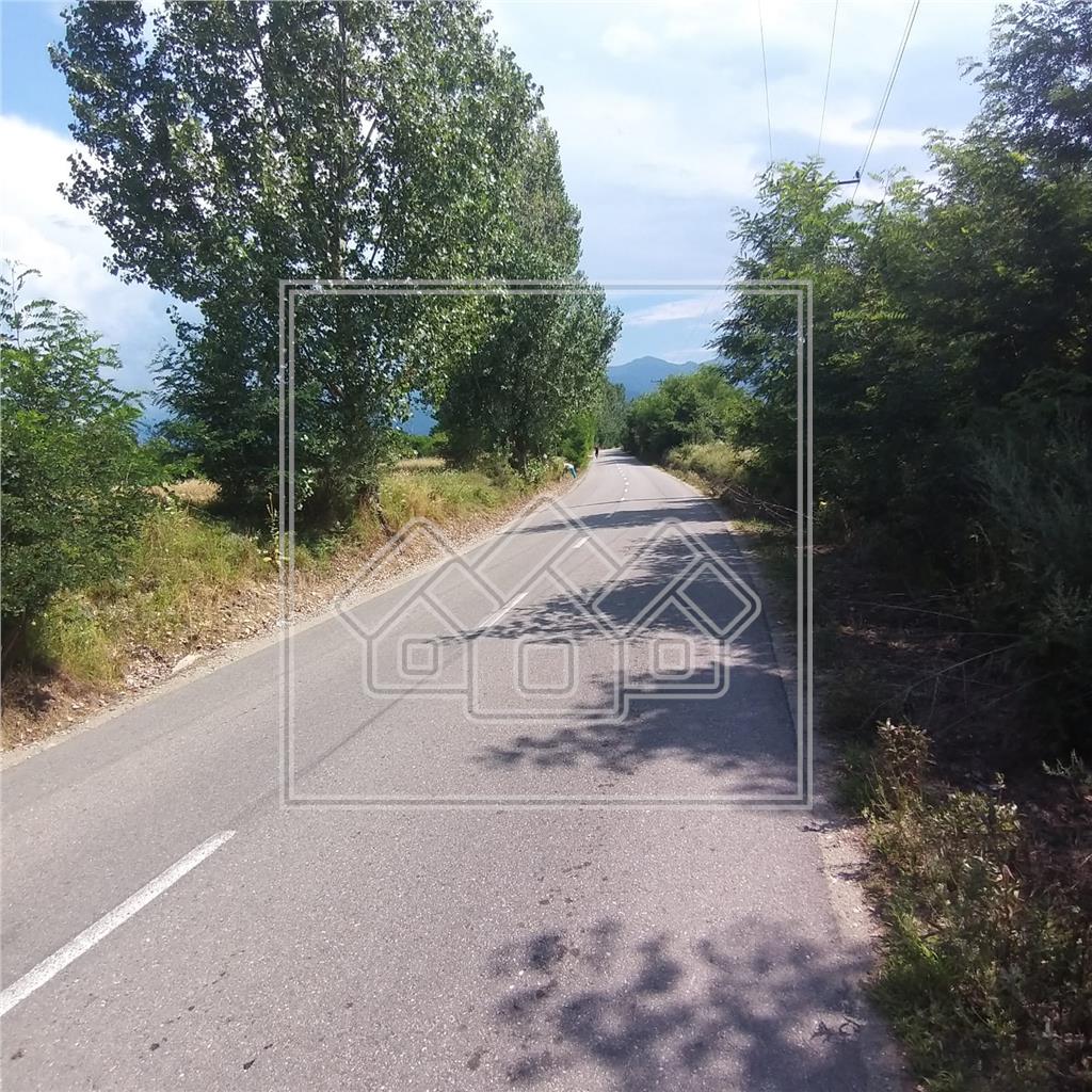 Land for sale in Sibiu - Valea Avrigului - between 1000 sqm - 4000 sqm
