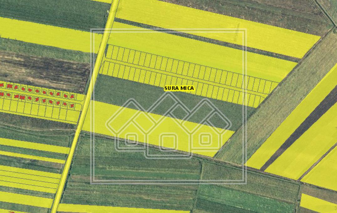Land for sale in Sibiu - Sura Mica - urban - 43,000 sqm