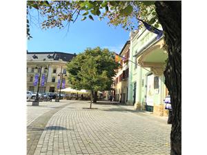 Spatiu comercial de inchiriat in Sibiu- 208 mp utili, curte interioara