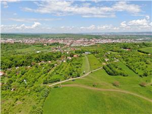 Land for sale in Sibiu - Tocile - urban - 4210 sqm