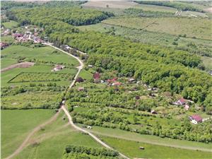 Grundstück kaufen in Sibiu