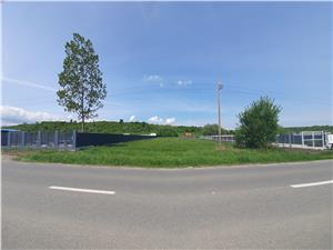 Land for rent in Sibiu - Cisnadie 3100 sqm