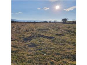 Land for sale in Sibiu -extra-urban- 1000 sqm - Staer Selimbar area