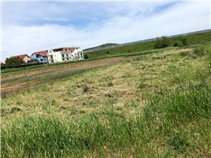 Land for sale in Sibiu - Intravilan - 1397 sqm - Lazaret