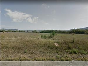 Land for sale in Sibiu - 4600 sqm - Selimbar - Dracula area 39E / sqm