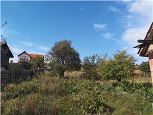 House for sale in Sibiu - 2 buildings - land 750 sqm - Sura Mare