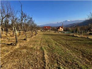 Land for sale in Sibiu - 1800 sqm - Tocile area