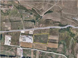 Land for sale in Sibiu - Cristian - 22,800 sqm