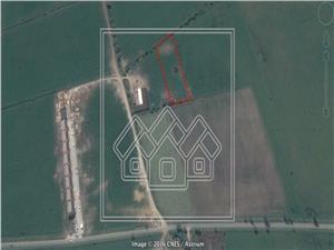 Land for sale in Sibiu- 7100 sqm -reper Complex Magnolia