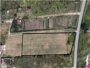 Land for sale in Sibiu - C. Cisnadiei - 5000 sqm - urban -PUZ approved