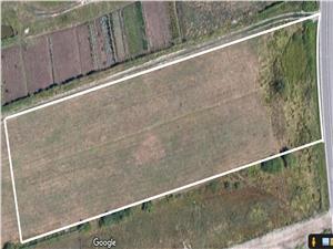 Land for sale in Sibiu - C. Cisnadiei - 5000 sqm - urban -PUZ approved