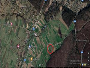 Land for sale in Sibiu - Cisnadioara Forest - 2106 sqm