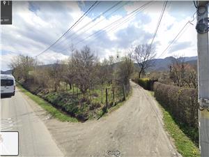 Land for sale in Sibiu, TOCILE - Intravilan - 1331 sqm