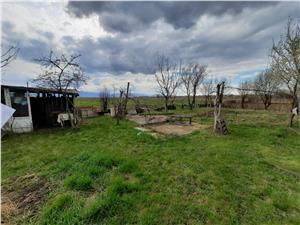 Land for sale in Sibiu - 2000 sqm - Campsor area
