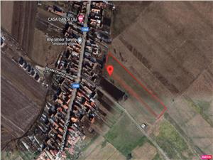 Land for sale in Sibiu - Sura Mica - out of town - 8600 sqm