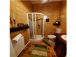 Pensiune de vanzare in Sibiu - 9 camere cu baie, restaurant - Apoldu