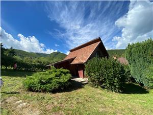 House for sale in Sibiu - Tocile - cottage with land 850 sqm