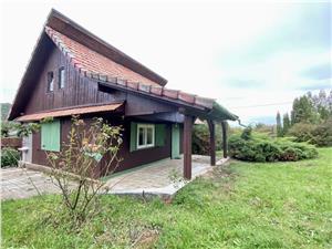 House for sale in Sibiu - Tocile - cottage with land 850 sqm