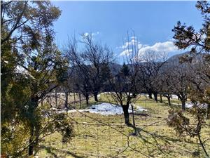 Land for sale in Sibiu, TOCILE - Intravilan - 750 sqm