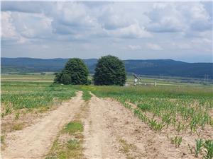 Land for sale in Sibiu - Daia Village - overlooking the Mountains