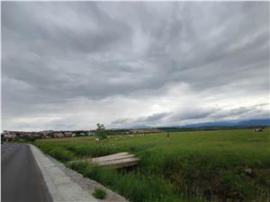 Land for sale in Sibiu - Campsor area - 4700 sqm with 125 ml opening o