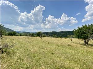 Land for sale in Sibiu, Cisnadie area