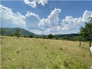 Land for sale in Sibiu, Cisnadie area