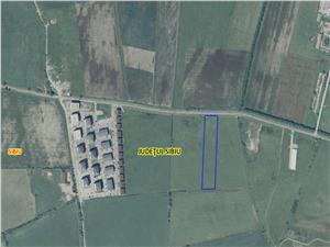 Land for sale in Sibiu - 10,000 sq m - inner city - Calea Surii Mici