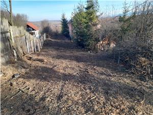 Land for sale in Sibiu - 2000 square meters in the city - PUZ - Daia