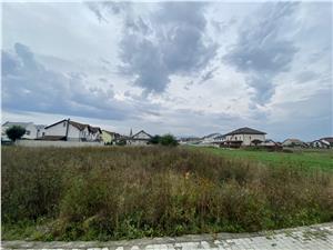 Land for sale in Sibiu Selimbar - housing construction authorization