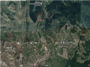 Land for sale in Sibiu - Sura Mare - 11,303 sq m - outside the village