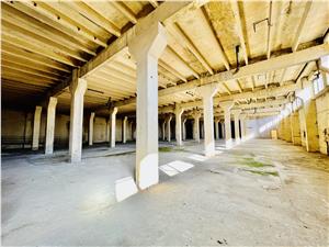 Industrial space for sale in Sibiu - Cisnadie - hall P+2, ramp, 4228 s