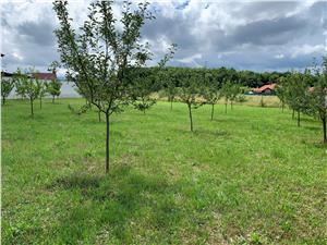 Land for sale in Sibiu - Selimbar - Intravilan 1000 sqm