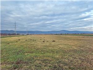 Land for sale in Sibiu - 6000 sqm, Cristian area