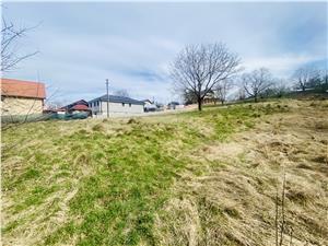 Land for sale in Sibiu - Cisnadie - inner city - 1000 sqm