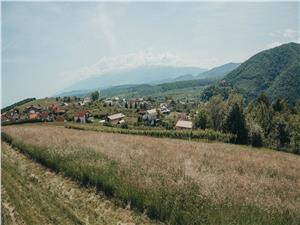 Vila de vanzare in Sibiu - Cisnadioara - 270mp utili si 1000mp teren