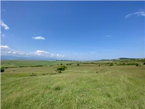 Land outside the village  - 67500 sqm - street frontage 123
