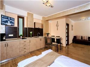 Apartment for rent in Sibiu - 2 rooms - luxuriously furnished and equi