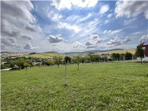 Land for sale in Sibiu - 716 square meters within the city - PUZ - Ham