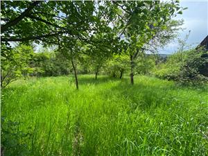 Land for sale in Sibiu, Saliste, Vale, 500 sqm