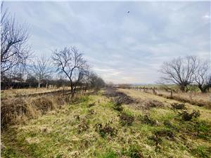 Land for sale in Sibiu - inner city - Cristian - 1859 sqm