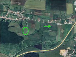 Land for sale in Sibiu - plots between 490 and 851 sqm