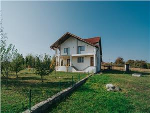 Casa de vanzare in Sibiu - Curte de 2000 mp - Pivnita si Garaj