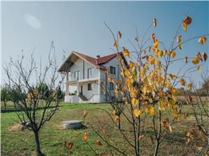 Casa de vanzare in Sibiu - Curte de 2000 mp - Pivnita si Garaj