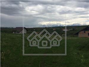 Land for sale in Sibiu - 8160 sqm