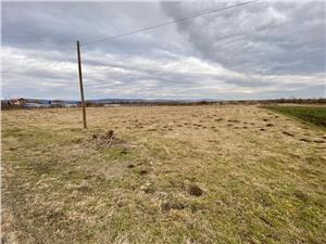 Land for sale in SibiuLand for sale in Sibiu - Cartisoara - Transfagar
