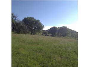 Land for sale in Sibiu - on the outskirts of Sibiu - Tilisca area
