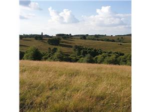 Land for sale in Sibiu - on the outskirts of Sibiu - Tilisca area